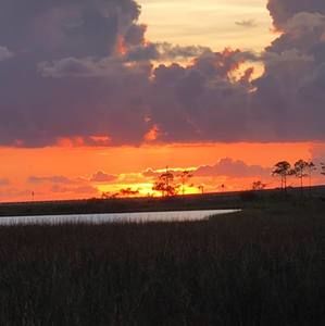 Meet your Posher, Rex